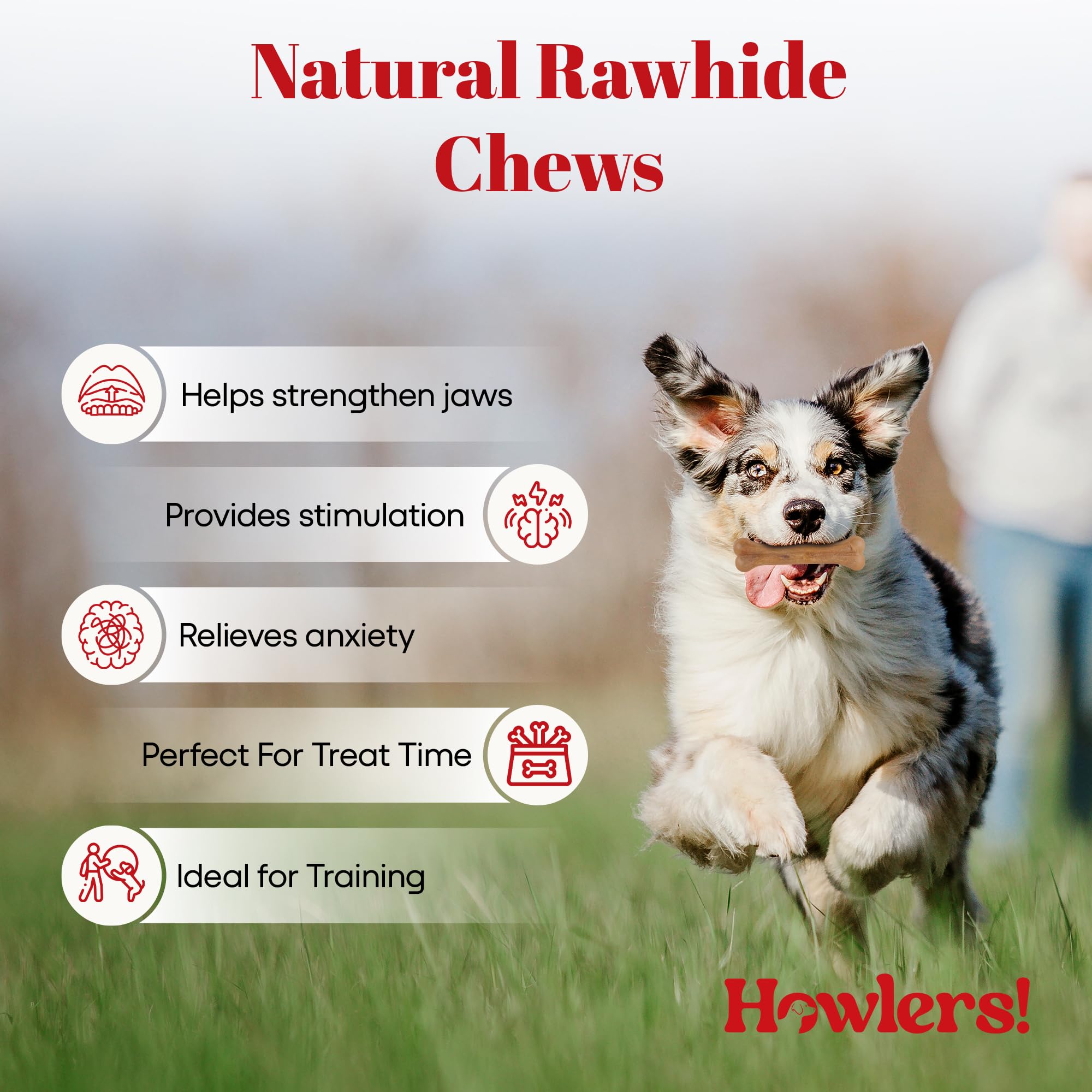 10 Inch Natural Giant Pressed Dog Bones - Pack of 10 | Long-Lasting Rawhide Chews for Dogs | All-Natural Ingredients | Perfect for Aggressive Chewers & Dental Health
