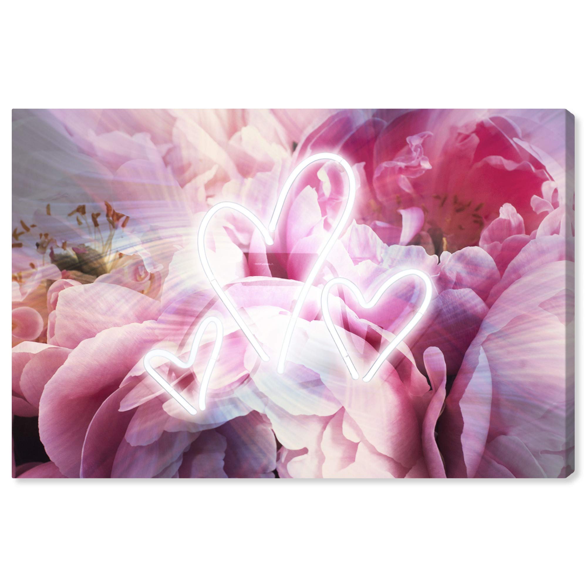 Oliver Gal Artist Co. Floral Wall Art Canvas Print - Pink & White LED Hearts Home Decor - 30x20 Inches - Perfect for Living Room, Bedroom & Office Decoration