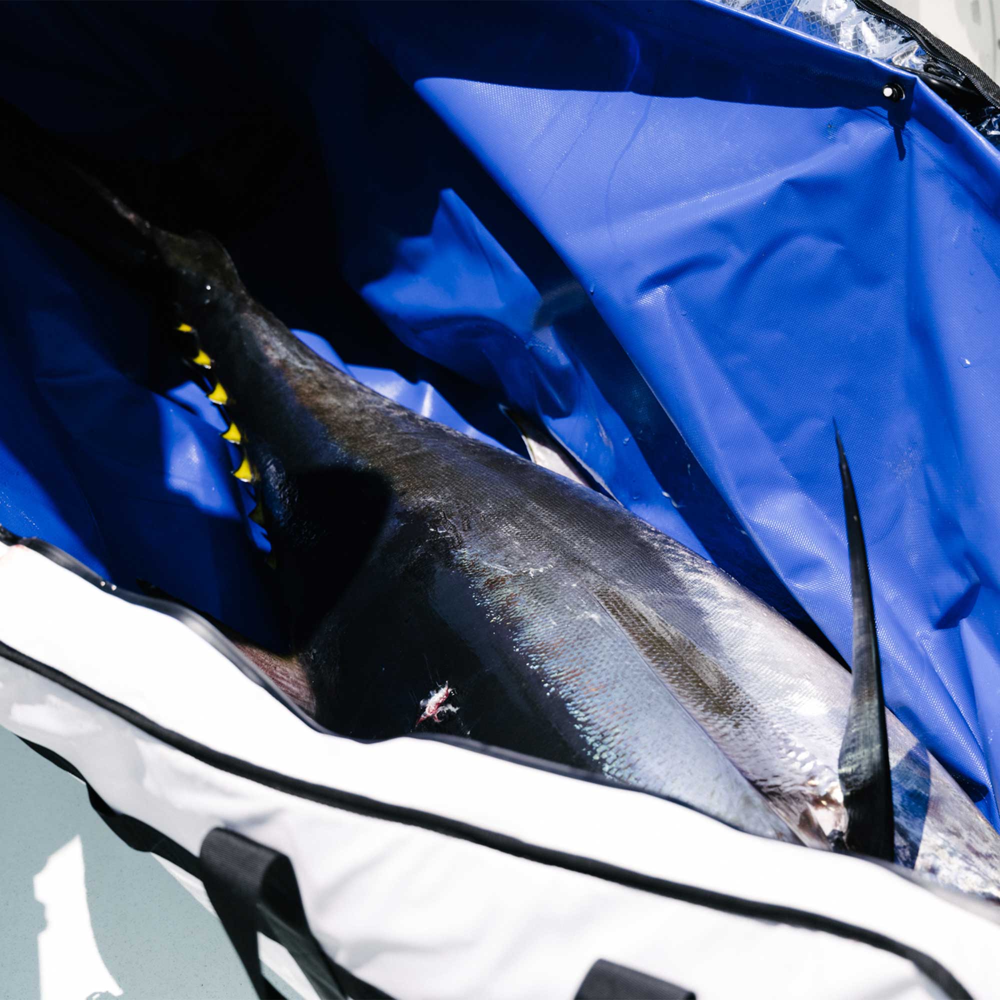 AFTCO Insulated Fish Bags - Premium Cooler Bags for Fishing, Camping & Outdoor Adventures - Keep Your Catch Fresh on Boats, Beaches & Road Trips