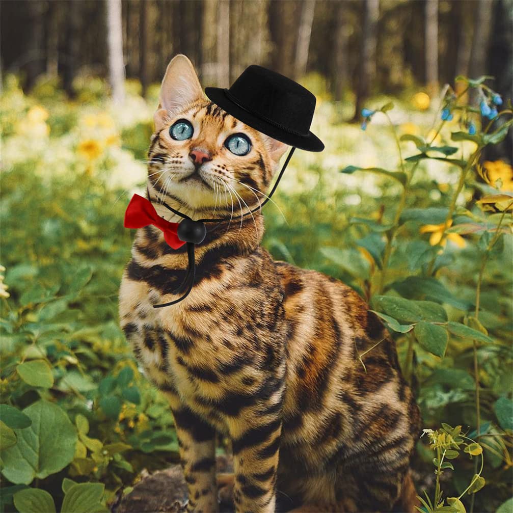 Funny Pet Costume Set - Tiny Party Hats & Necktie for Small Animals - Perfect for Parties & Photos