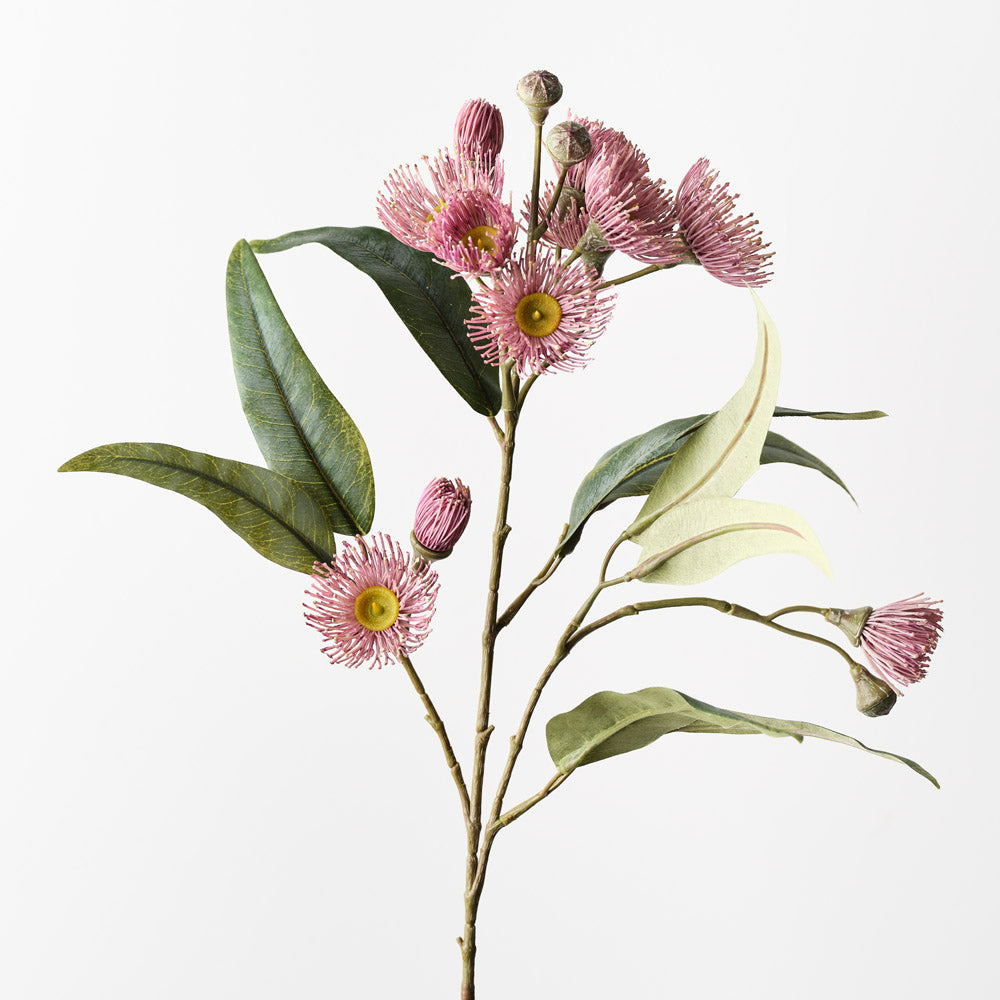 Pink Eucalyptus Flowering Spray - Fresh & Fragrant Floral Decor for Home, Wedding, and Event Centerpieces