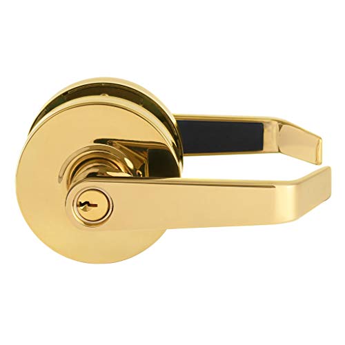 Polished Brass (US3)