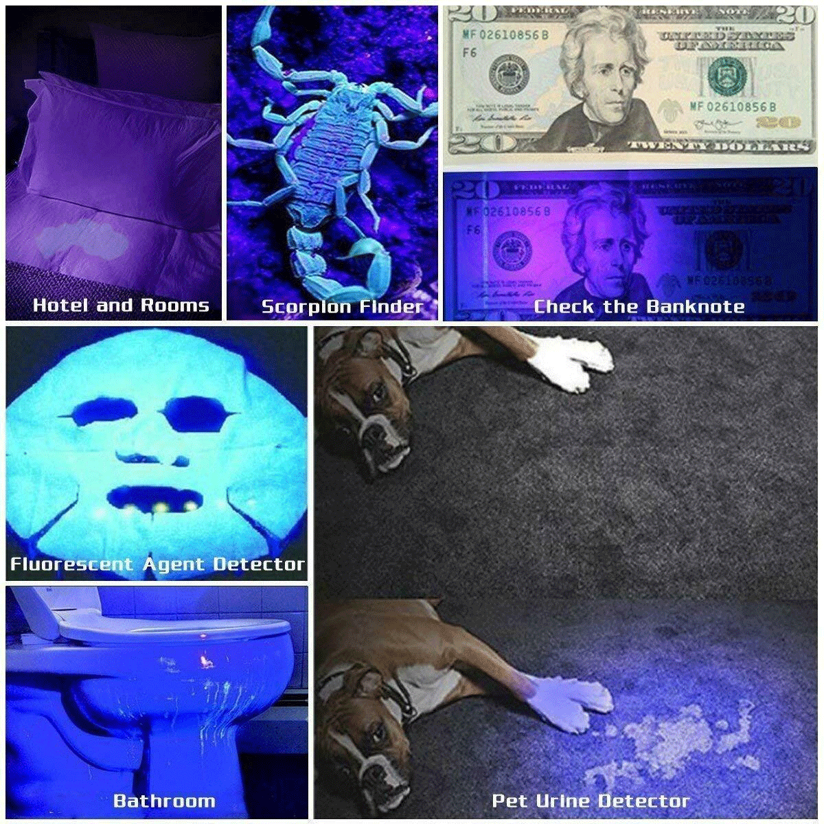Super Bright UV Flashlight 395nm Black Light - Perfect for Detecting Counterfeit Money, Pet Stains, and Scorpion Hunting