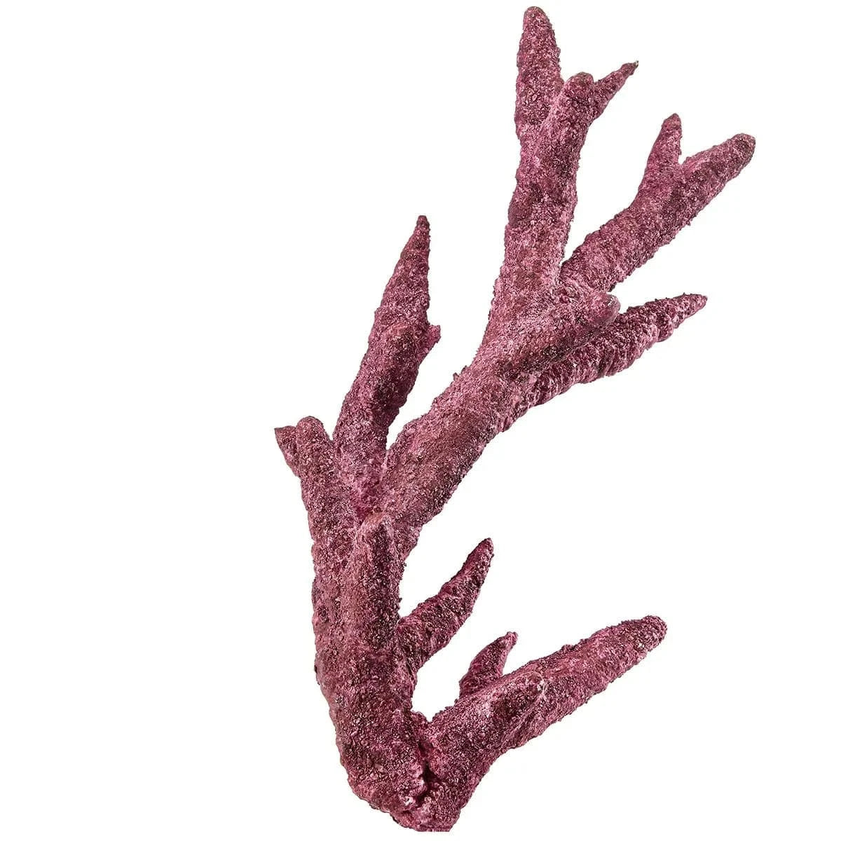 Premium Real Reef Branch Rock - 30 lbs Box for Saltwater Aquariums | Natural Coral Decor for Marine Tanks, Fish Habitats & Reef Aquascaping