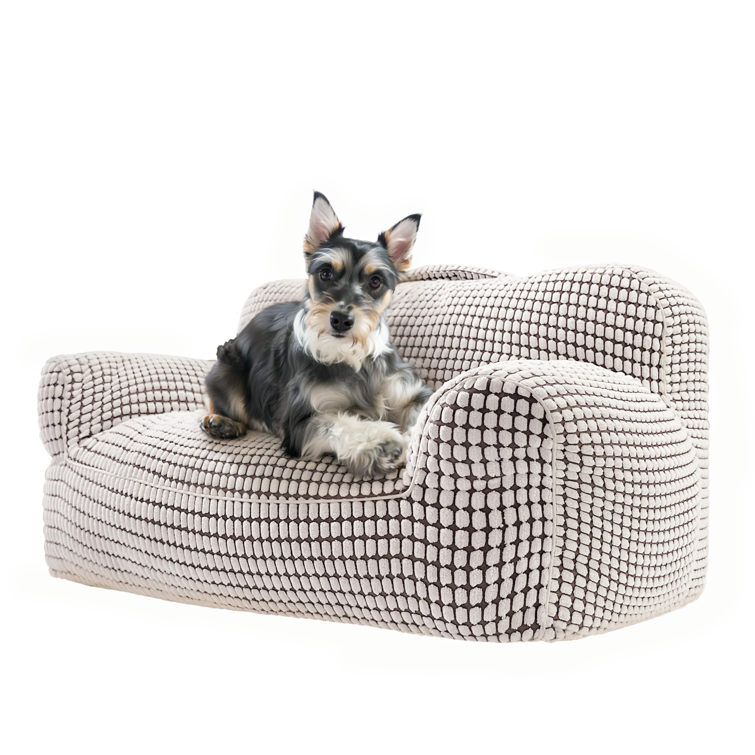 Modern Dog Couch for Small Dogs & Cats - Super Soft Fluffy Pet Sofa Bed with Thick Padding - Cozy Lounger for Puppies, Kittens & Small Pets - Perfect for Living Room, Bedroom & Pet Nursery