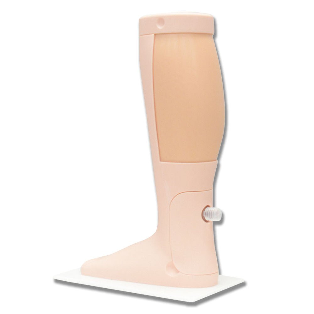 Deep Vein Thrombosis (DVT) Training Phantom Model - Medical Simulation Device for Ultrasound Practice & Vascular Diagnosis Training