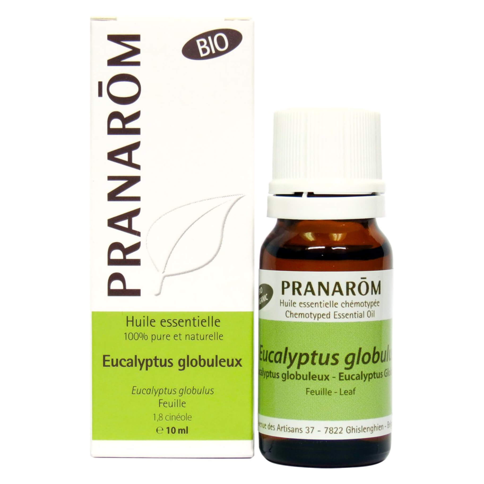 Pure Eucalyptus Globulus Essential Oil - 100% Natural Therapeutic Grade for Aromatherapy, Diffusers & Massage - Relieves Stress, Congestion & Muscle Pain