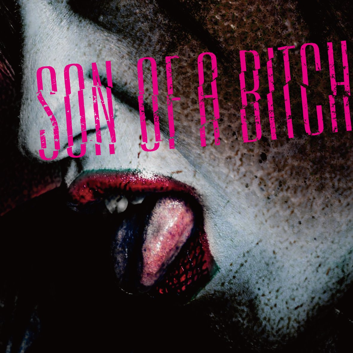 Son Of A Bitch First Press A - Vintage Punk Rock Vinyl Record - Perfect for Music Collectors & Punk Enthusiasts - Great for Home Decor, Gifts & Music Listening Sessions