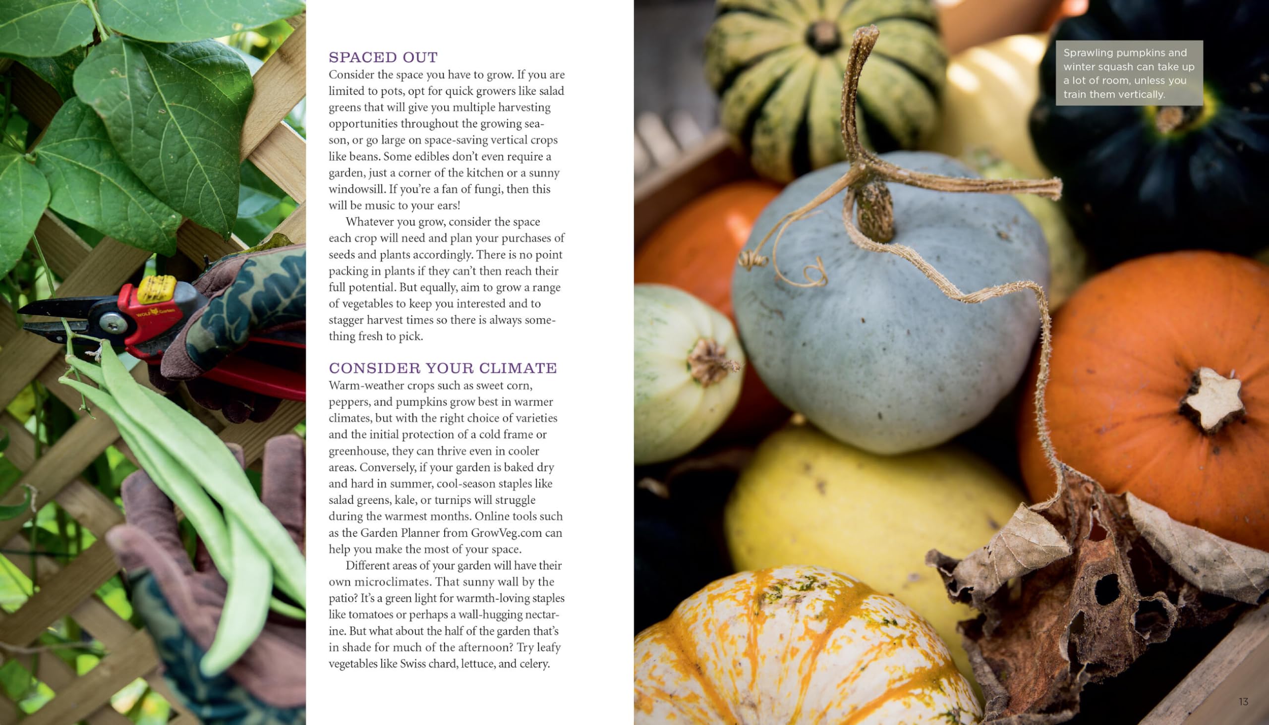 GrowVeg: The Complete Beginner's Guide to Easy Vegetable Gardening at Home - Perfect for Backyard, Container & Urban Gardening