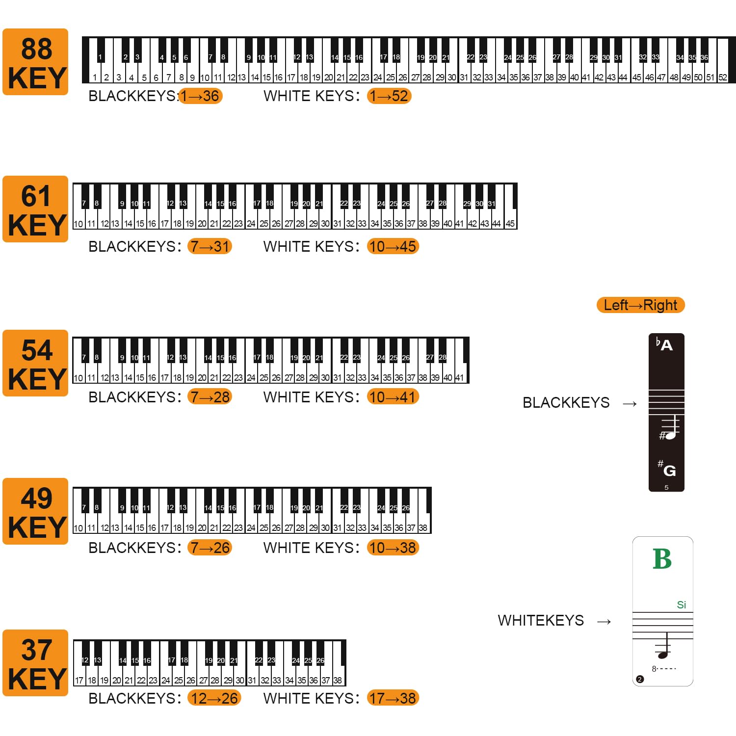 Colorful Removable Piano Keyboard Stickers for 88/61/54/49 Keys - Transparent Large Bold Letter Note Labels for Beginners | Perfect for Music Learning, Practice & Teaching