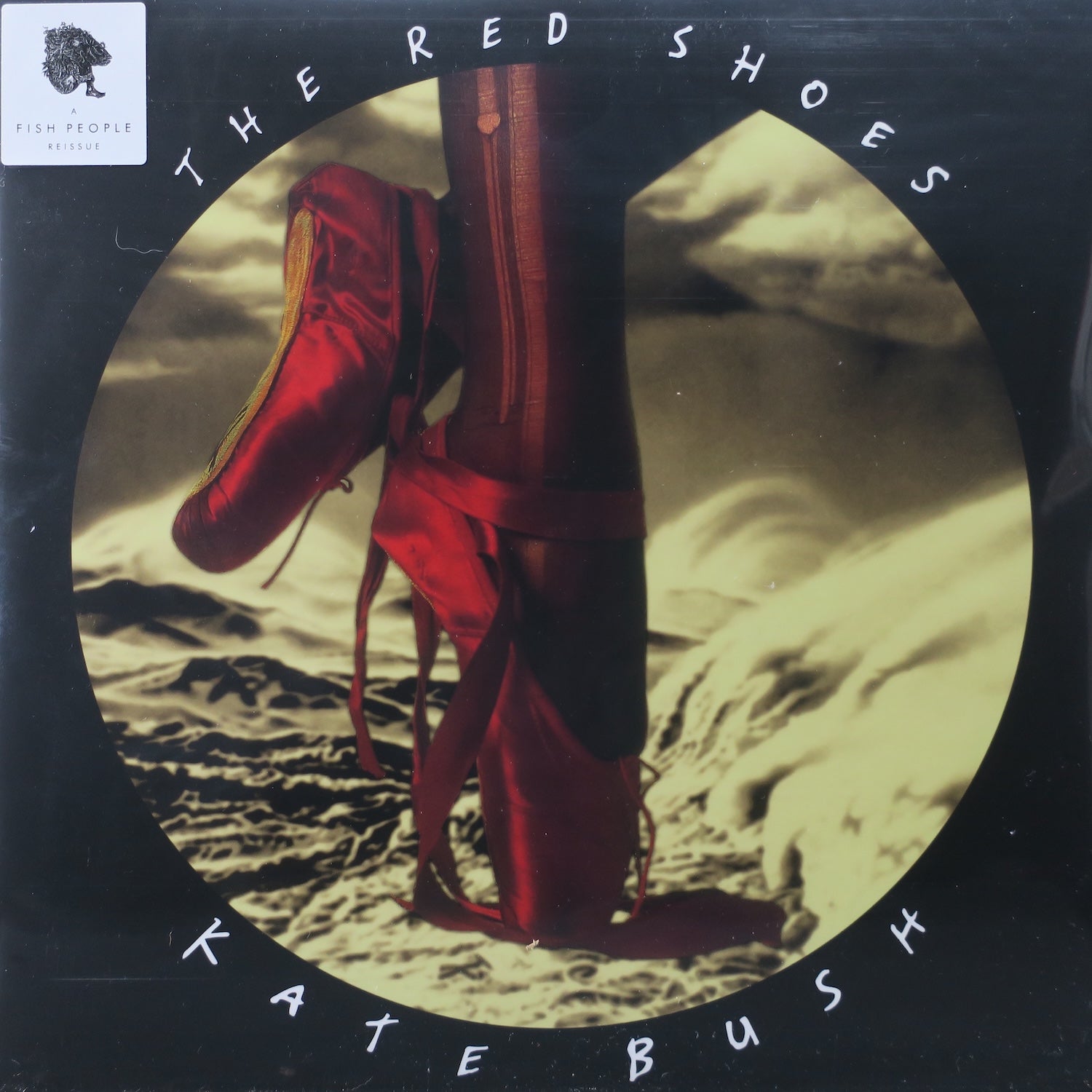KATE BUSH 'Red Shoes' Remastered 180g Vinyl 2LP - High Quality Audiophile Edition | Perfect for Record Collectors & Music Enthusiasts