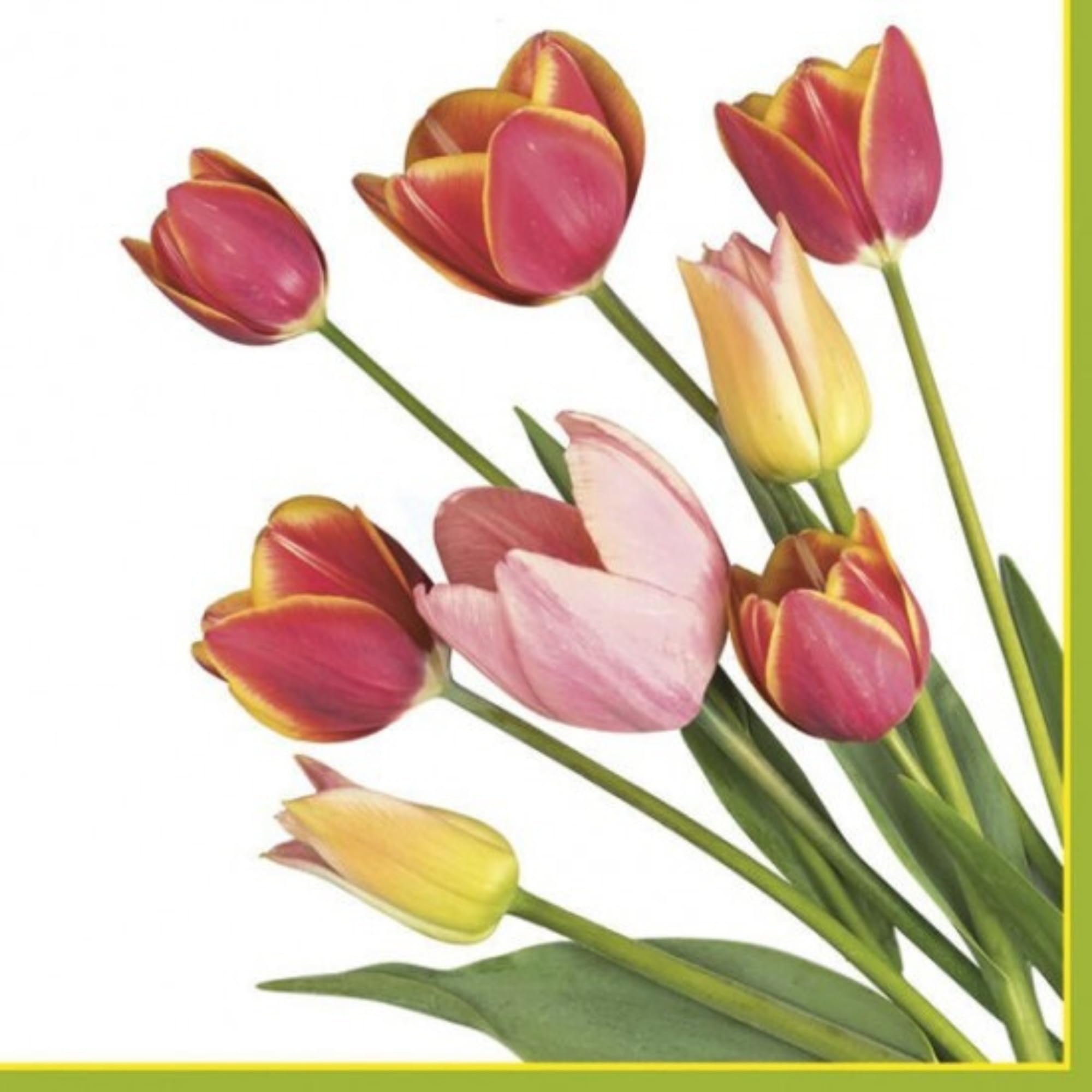 20-Count 13x13 Tulip Paper Luncheon Napkins, 3-Ply Decoupage Serviettes with Floral Print - Perfect for Christmas Decor, Dinner Parties, Wedding Receptions & Table Setting (Tulip Design)
