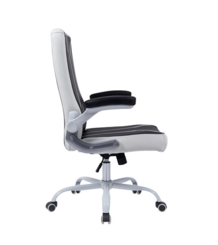 Ergonomic Office Chair - Adjustable Height & Lumbar Support for Home & Office Workspaces - Comfortable Desk Chair for Long Hours of Sitting - Vesta Customer Chair for Professionals & Remote Workers