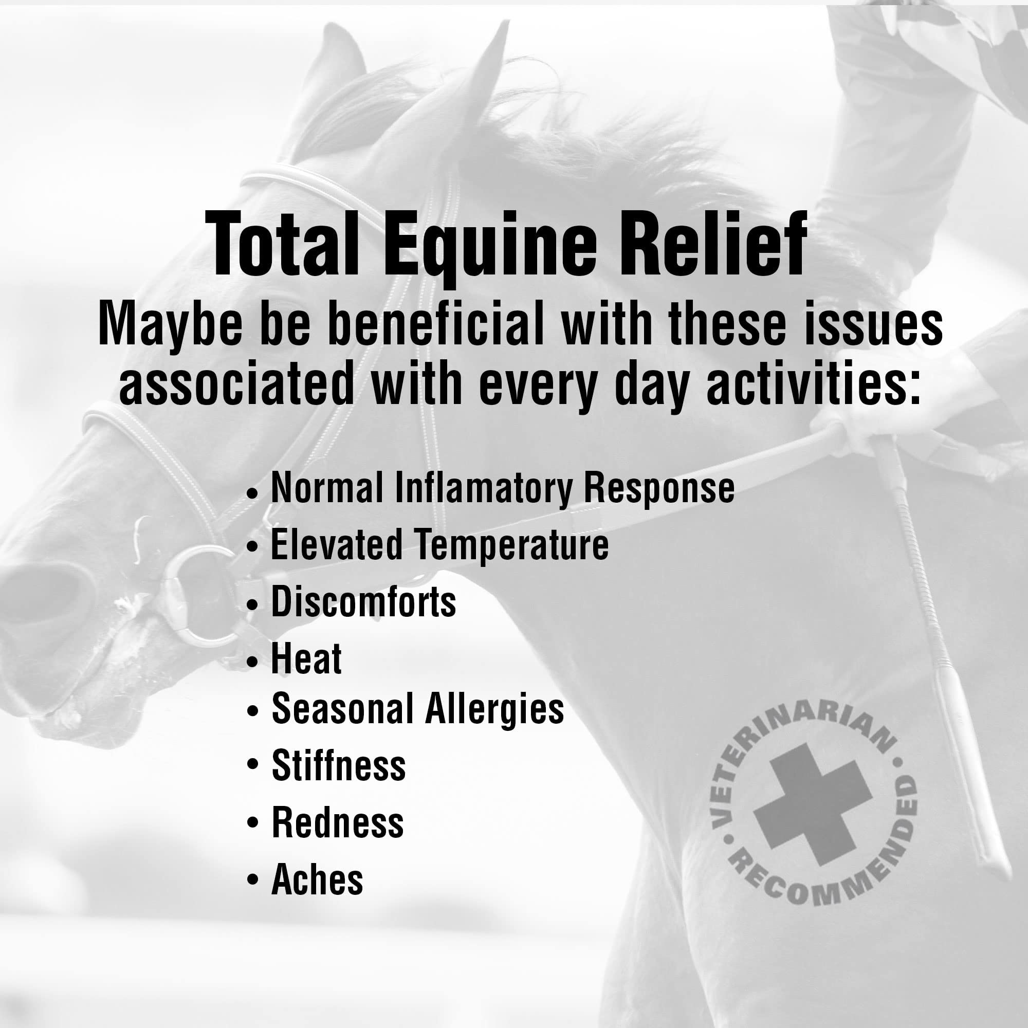 Total Tendon Repair Powder Supplement for Horses – Advanced Formula with Vitamin C, Collagen & MSM for Joint, Ligament & Tendon Support – Promotes Elasticity & Strength – 30 Day Supply – Ideal for Performance Horses & Recovery