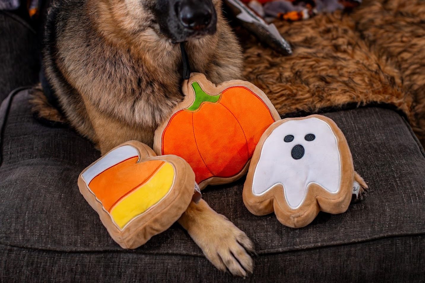 Midlee Boo Sugar Cookie Halloween Plush Dog Toy - Large Stuffed Animal for Dogs, Cute & Soft Puppy Chew Toy | Perfect for Halloween Decor, Pet Gifts & Cuddling