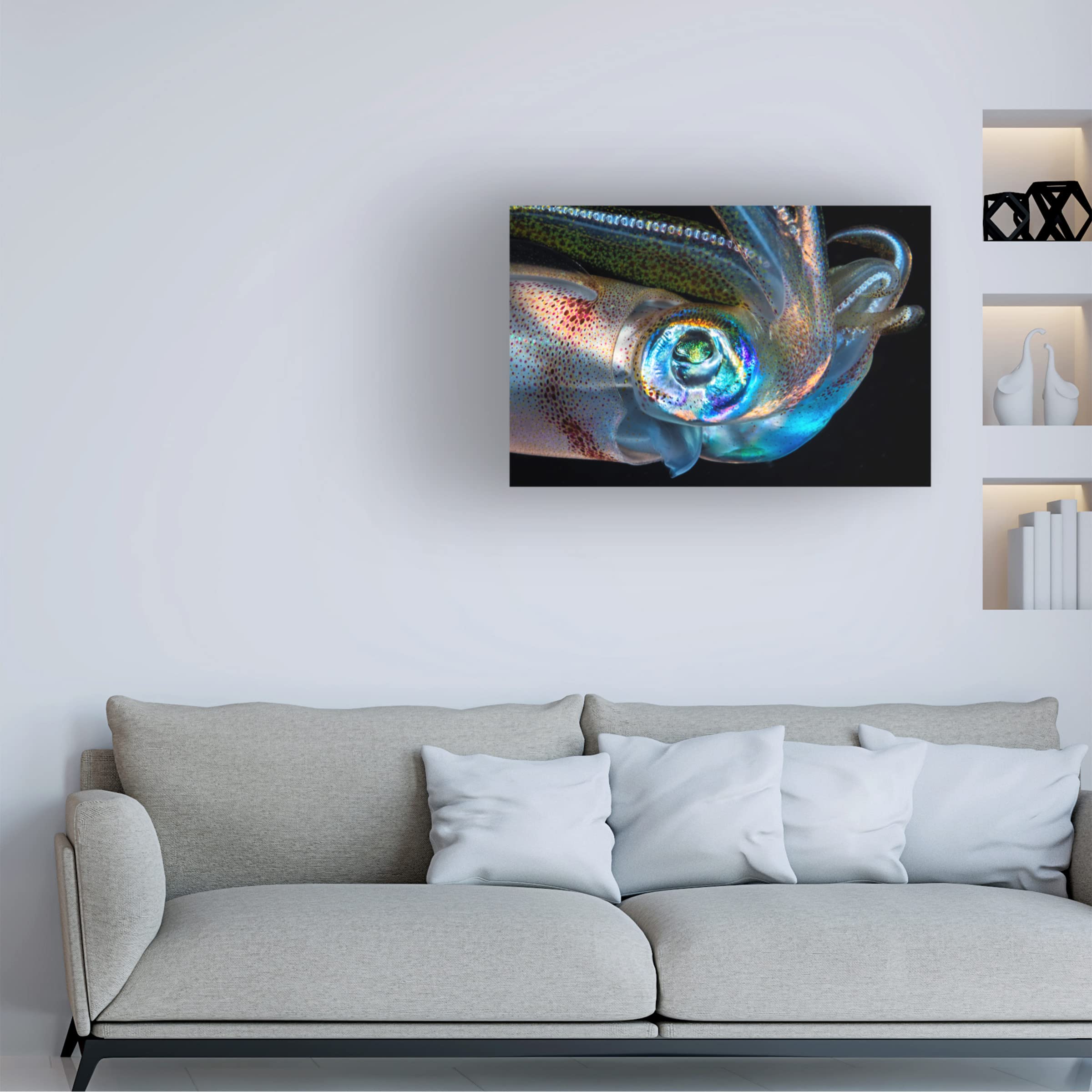 Trademark Fine Art 'Eye Of Squid' Canvas Wall Art Print by Barathieu Gabriel - Modern Ocean Themed Decor for Living Room, Bedroom & Office
