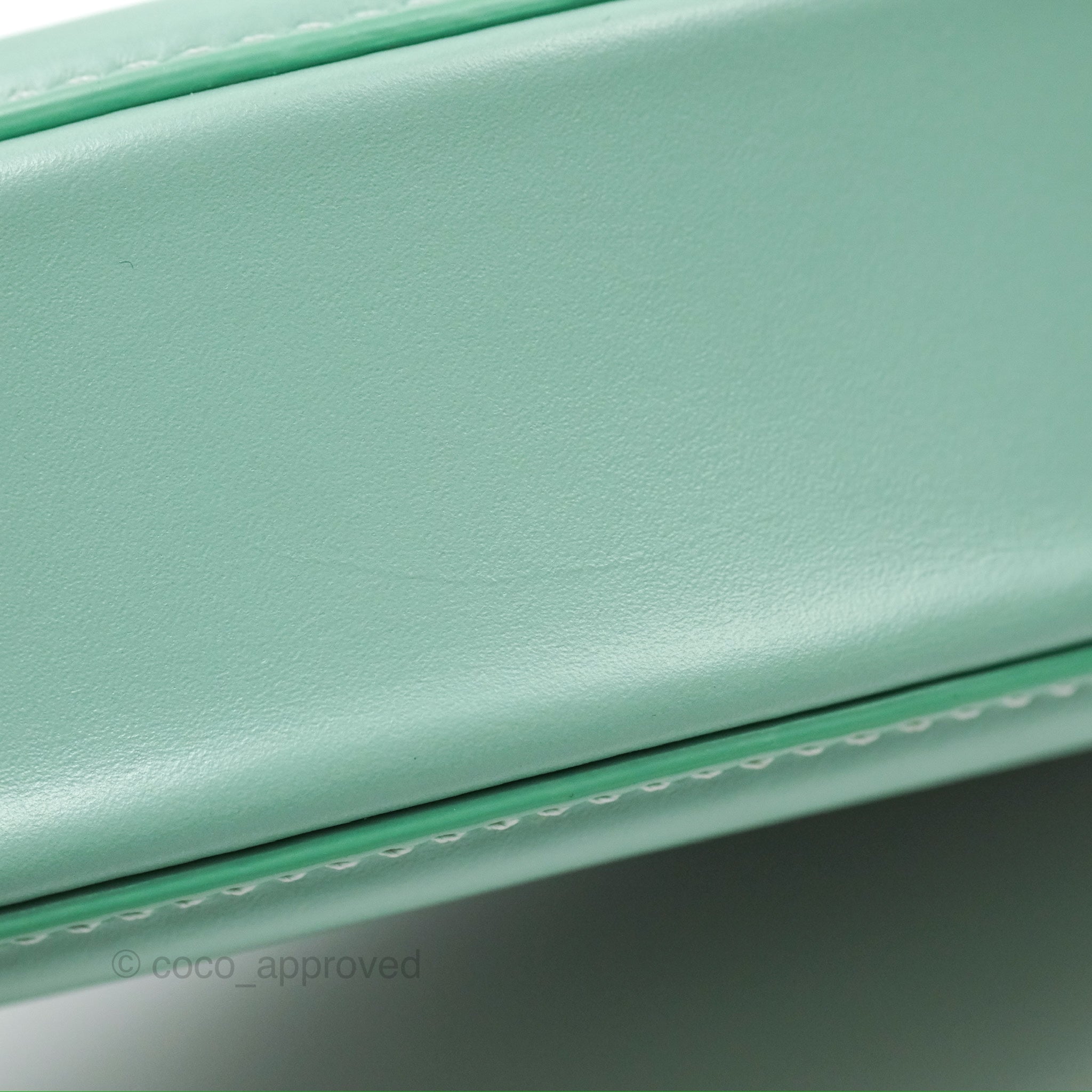 Celine Oval Bag Triomphe in Ice Mint Calfskin Leather - Luxury Crossbody Purse for Women, Perfect for Date Night & Evening Events