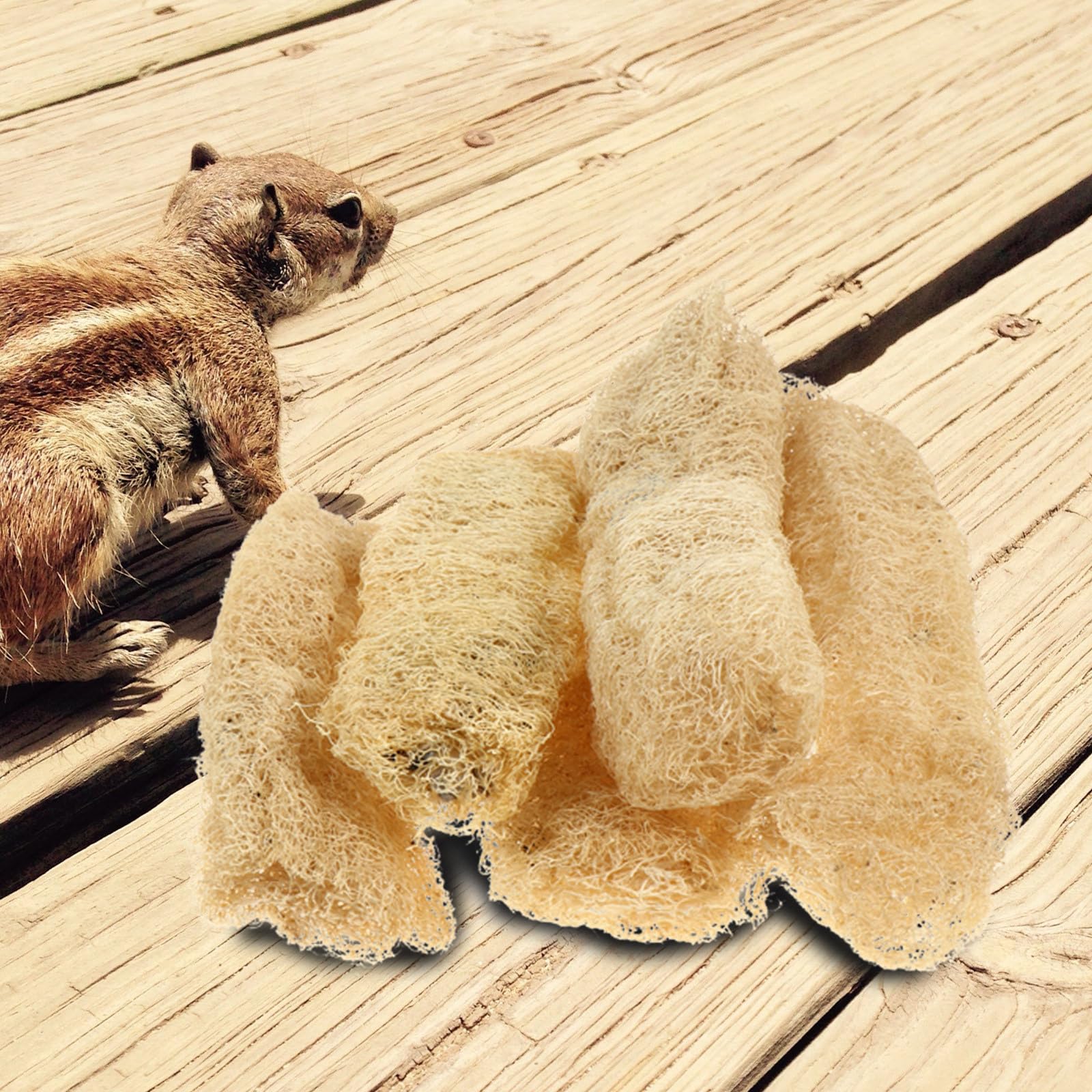 5pcs Natural Loofah Chewing Toys for Dogs, Cats, Small Pets - Teeth Cleaning & Dental Care Chew Toys for Rabbits, Hamsters, Guinea Pigs, Chinchillas - Perfect for Bath Time, Playtime & Molar Health