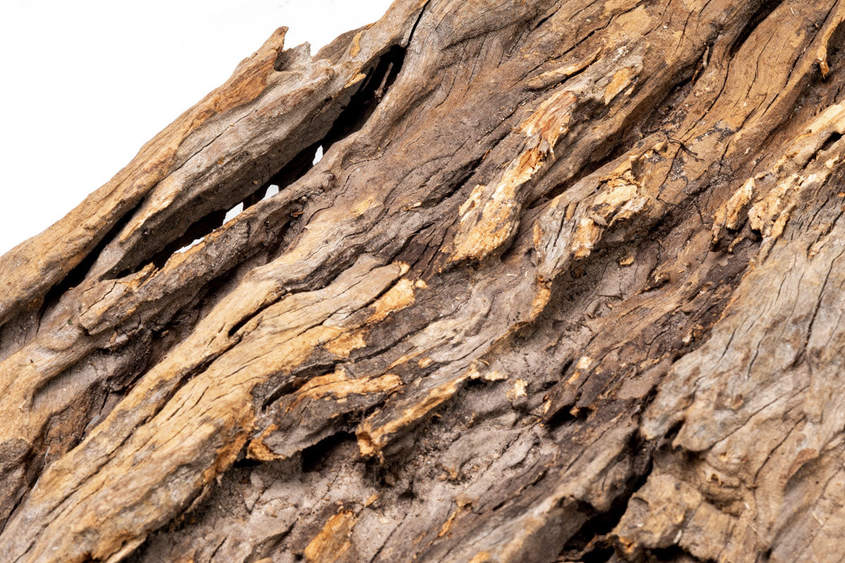 Natural Forest Driftwood for Home Decor - Rustic Wood Pieces for DIY Crafts, Aquarium, Terrarium & Wedding Centerpieces - Perfect for Beach Theme, Boho & Nature-Inspired Designs