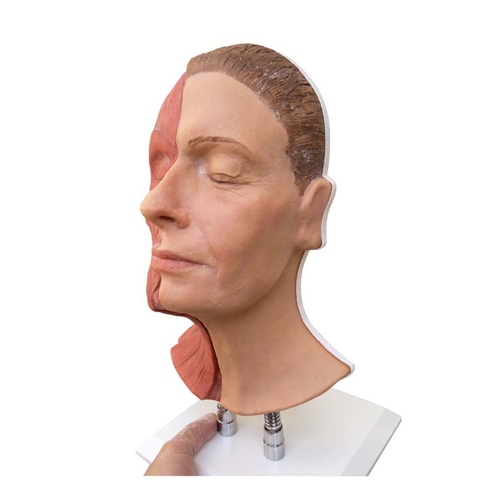 Professional Facial Injection Head for Half-Sided Muscle Treatment - Precision Cosmetic Tool for Botox, Fillers & Anti-Aging Procedures - Perfect for Clinics, Spas & Home Use