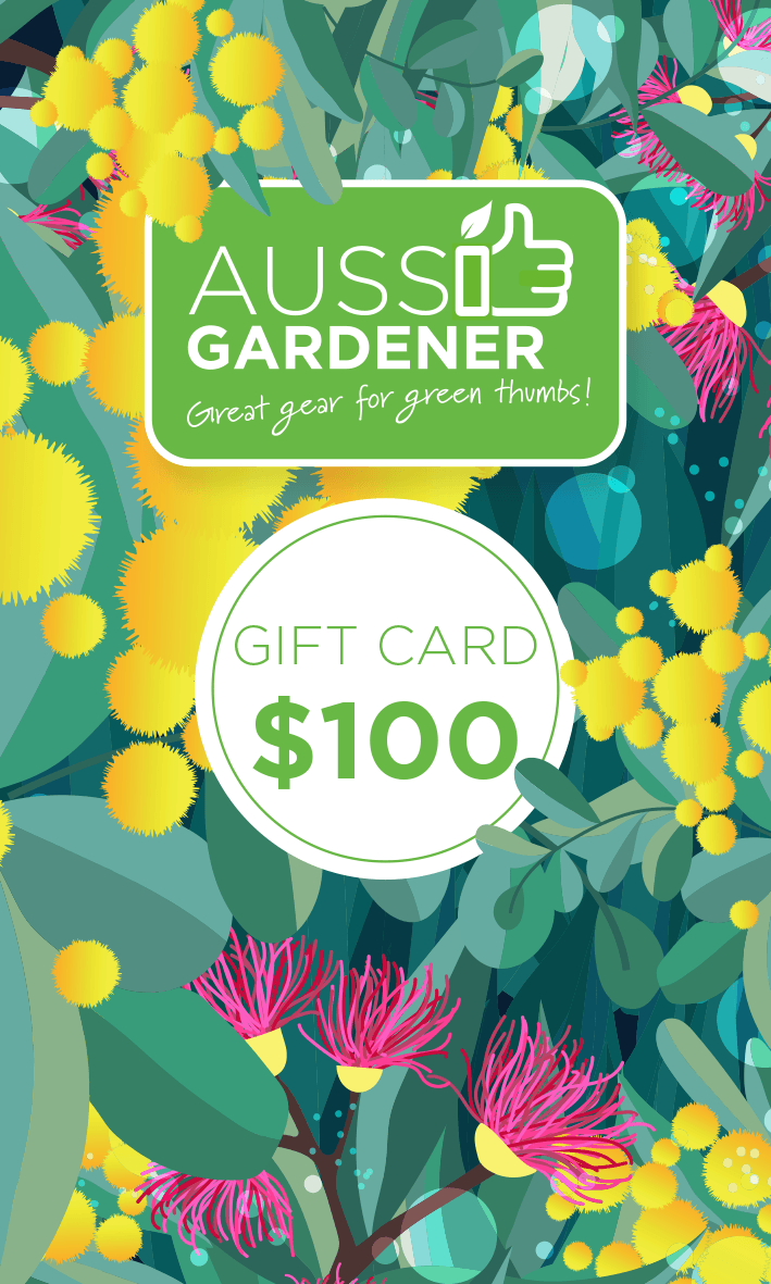 Best Gift Cards for All Occasions - Birthday, Anniversary, Holidays & More | Perfect for Gifting, Rewards & Online Shopping