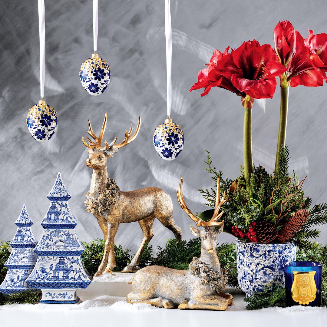 Blue & White Pot Holiday Amaryllis - Perfect for Christmas Decor, Home Gifts & Festive Centerpieces