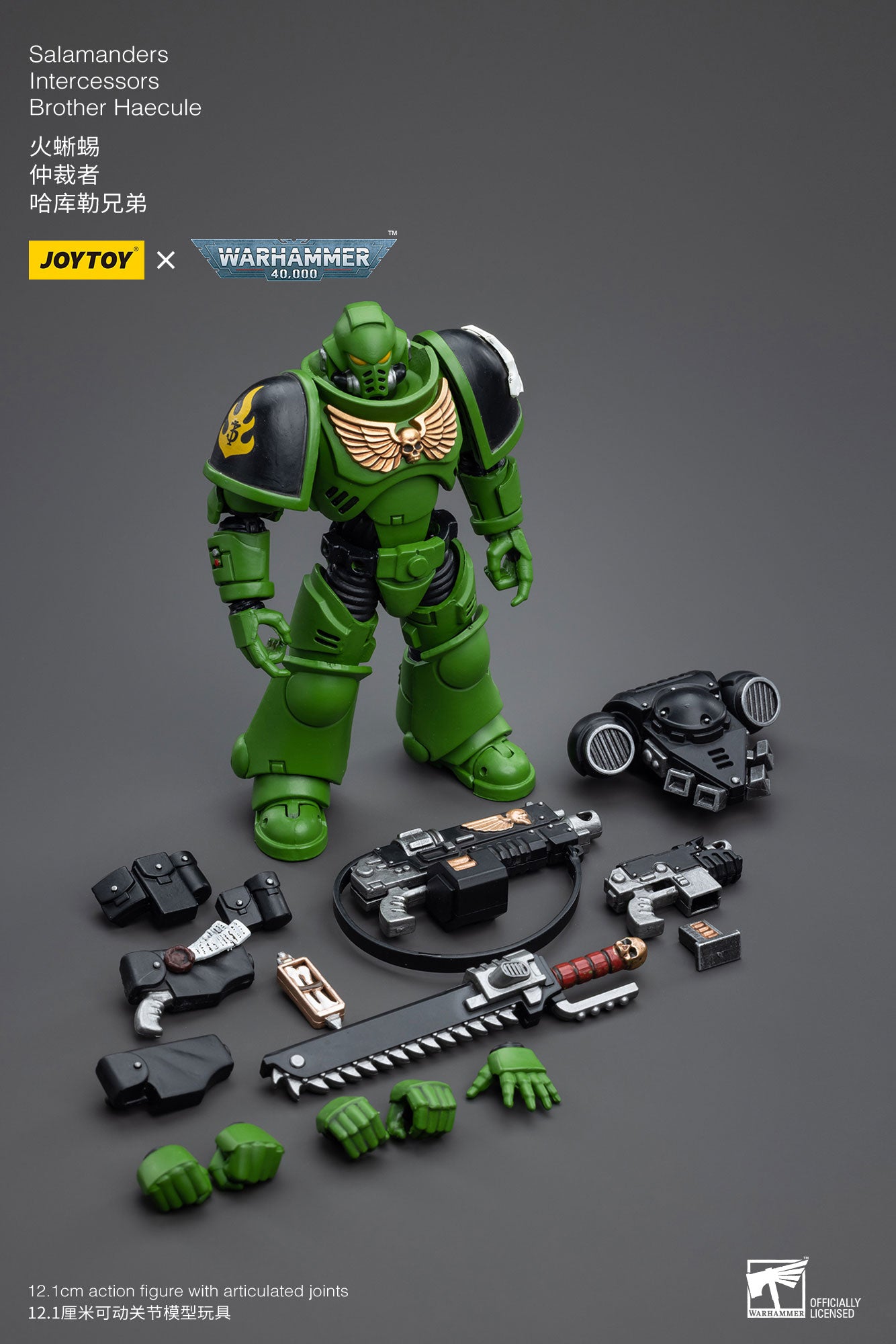 JOYTOY 1/18 Scale 3.75 Inch Warhammer 40K Salamanders Space Marine Intercessors Brother Haecule Action Figure - Reissue Collectible Model for Tabletop Gaming & Display