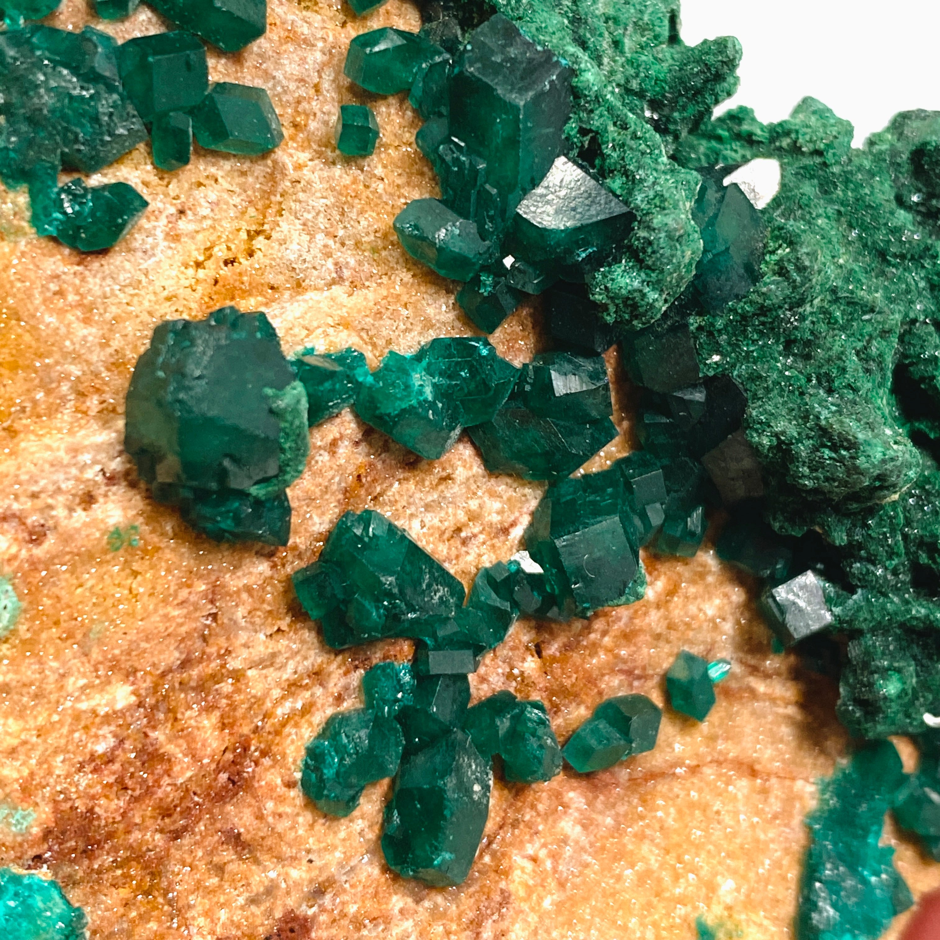 Natural Dioptase and Malachite Crystal Specimen from Congo - CR3745 | Mineral Collection, Healing Crystals, Geology Display, Home Decor