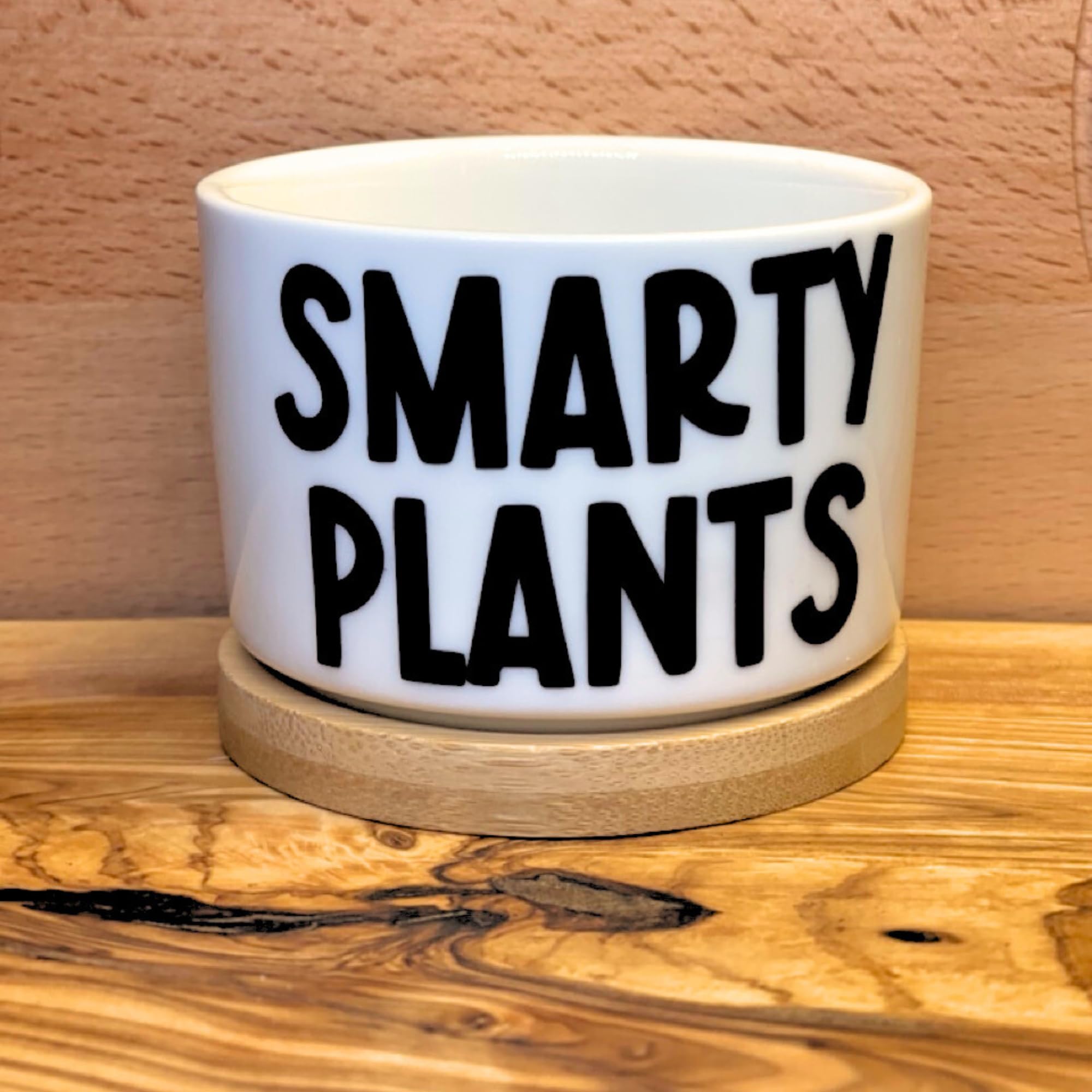 Stylish Ceramic Plant Pots with Inspirational Quotes - Small White Succulent, Cactus & Air Plant Pots - Perfect Unique Gift for Plant Lovers - Ideal for Home Decor, Office Desk & Indoor Gardening