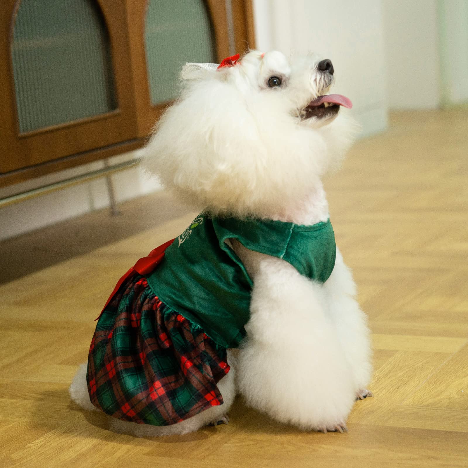 CuteBone Christmas Tree Dog Dress - Velvet Plaid Puppy Clothes for Small Dogs & Girls (Green, XS) - Perfect for Holiday Photos & Festive Parties
