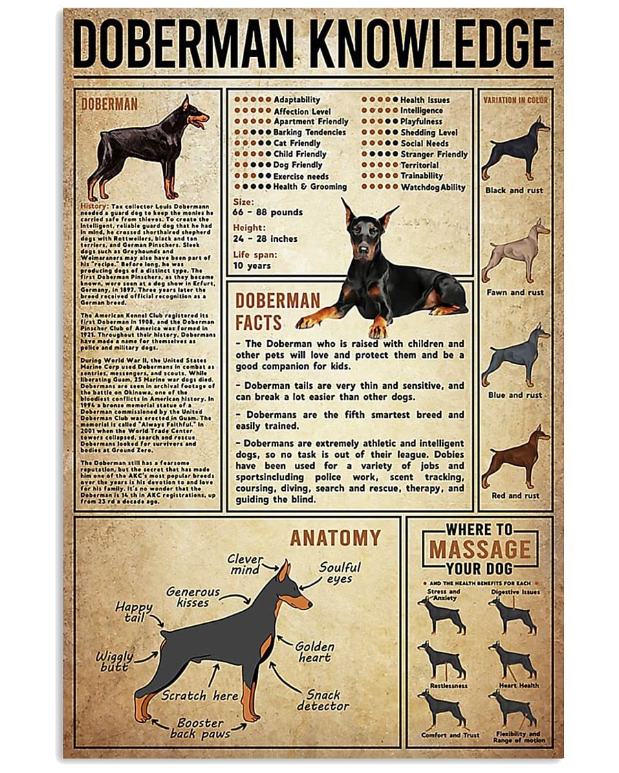 Vintage Doberman Pinscher Knowledge Retro Metal Sign - 8x12 Inch Aluminum Tin Wall Art for Home, Coffee Bar & Man Cave Decor - Perfect for Garage, Pub, or Restaurant Wall Decoration