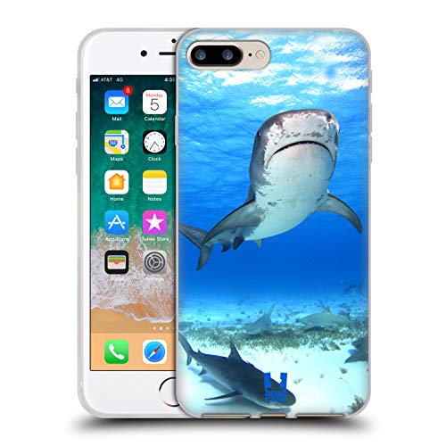 Tiger Shark