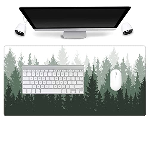Misty Forest