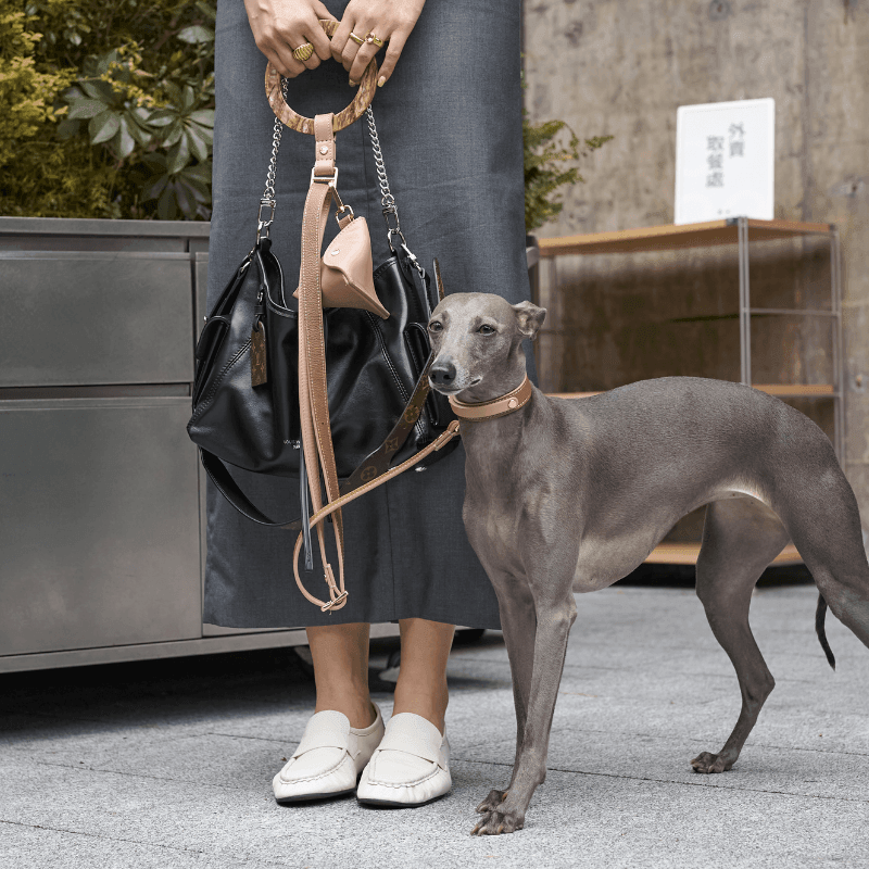 Premium Slim Blushwood Leather Dog Collar - Adjustable & Stylish Pet Accessory for Small to Medium Dogs - Perfect for Daily Walks, Training & Outdoor Adventures