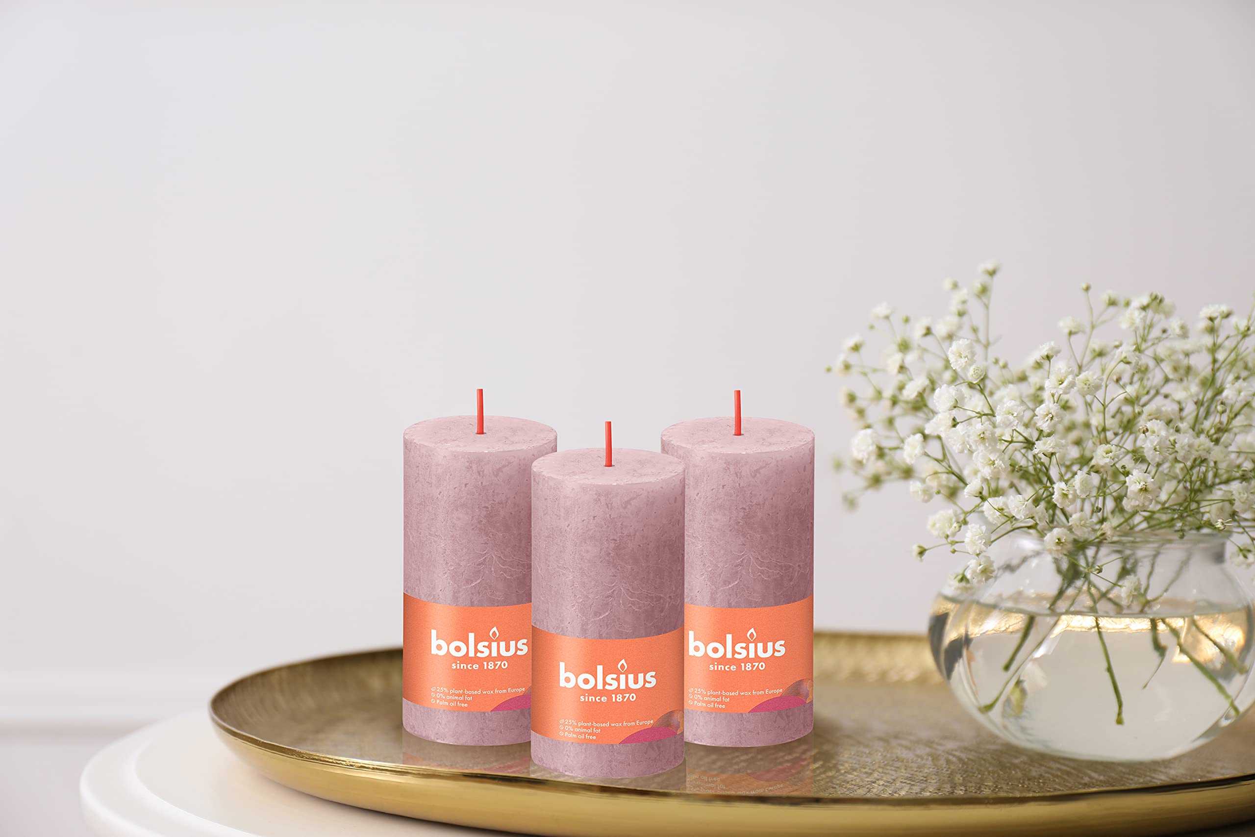 BOLSIUS 4 Pack Ash Rose Rustic Pillar Candles - 2 X 4 Inches - Premium European Quality Unscented Dripless Smokeless Candles with Natural Plant-Based Wax - 30 Hour Burn Time for Wedding, Party, Home Décor & Romantic Ambiance