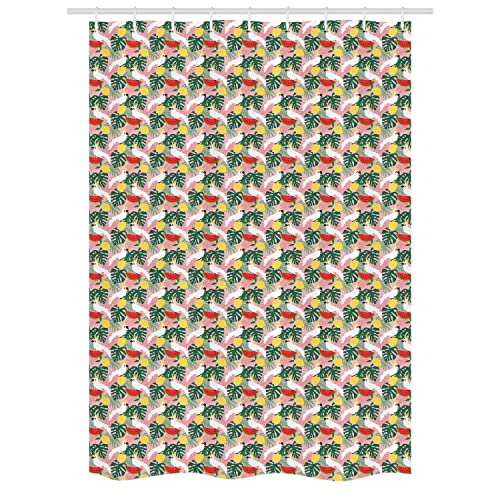 Rose and Multicolor