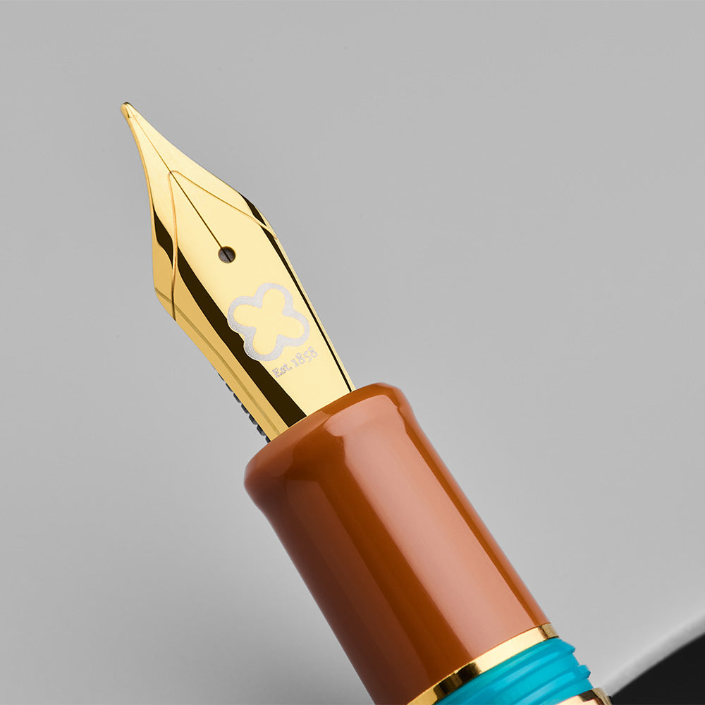 Esterbrook Estie Back to the Land Fountain Pen - Premium Writing Instrument with Incredible Rock Design for Calligraphy, Journaling & Office Use