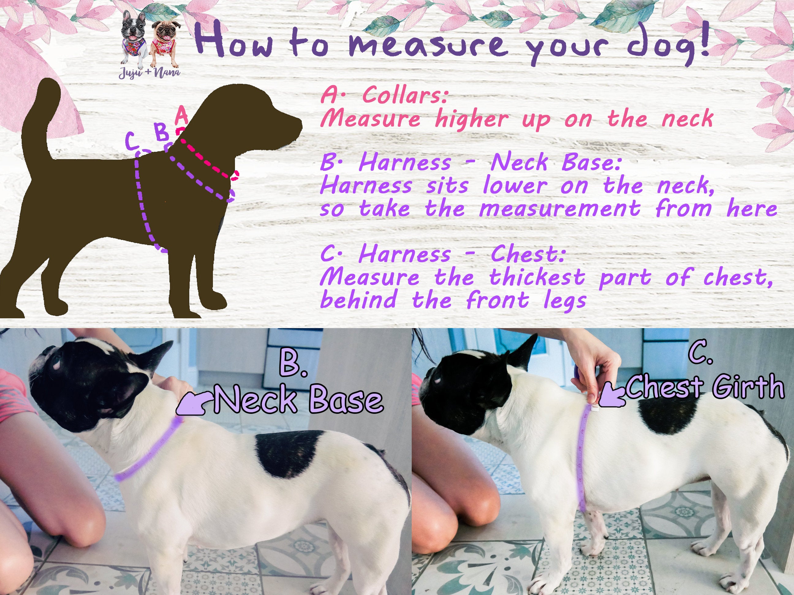 Thanksgiving Dog Harness with Turkey & Gnomes Design - Festive Pet Costume for Holiday Photos & Parties