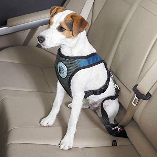 Dog Car Harness - Padded X-Large Blue for Safe Travel