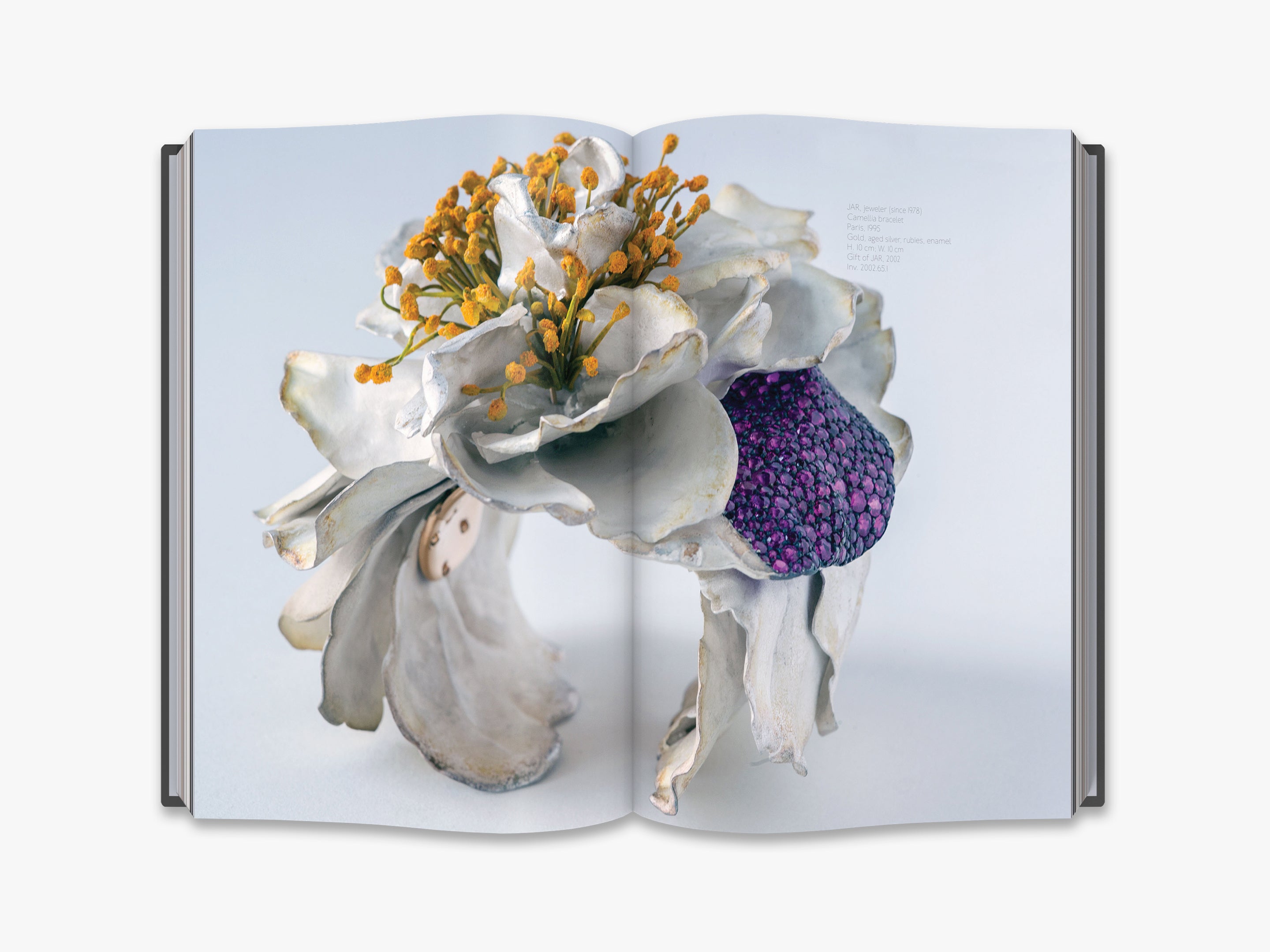 Premium Flora Collection - Fresh & Vibrant Flowers for Home Decor, Weddings & Special Events | Buy Online Now