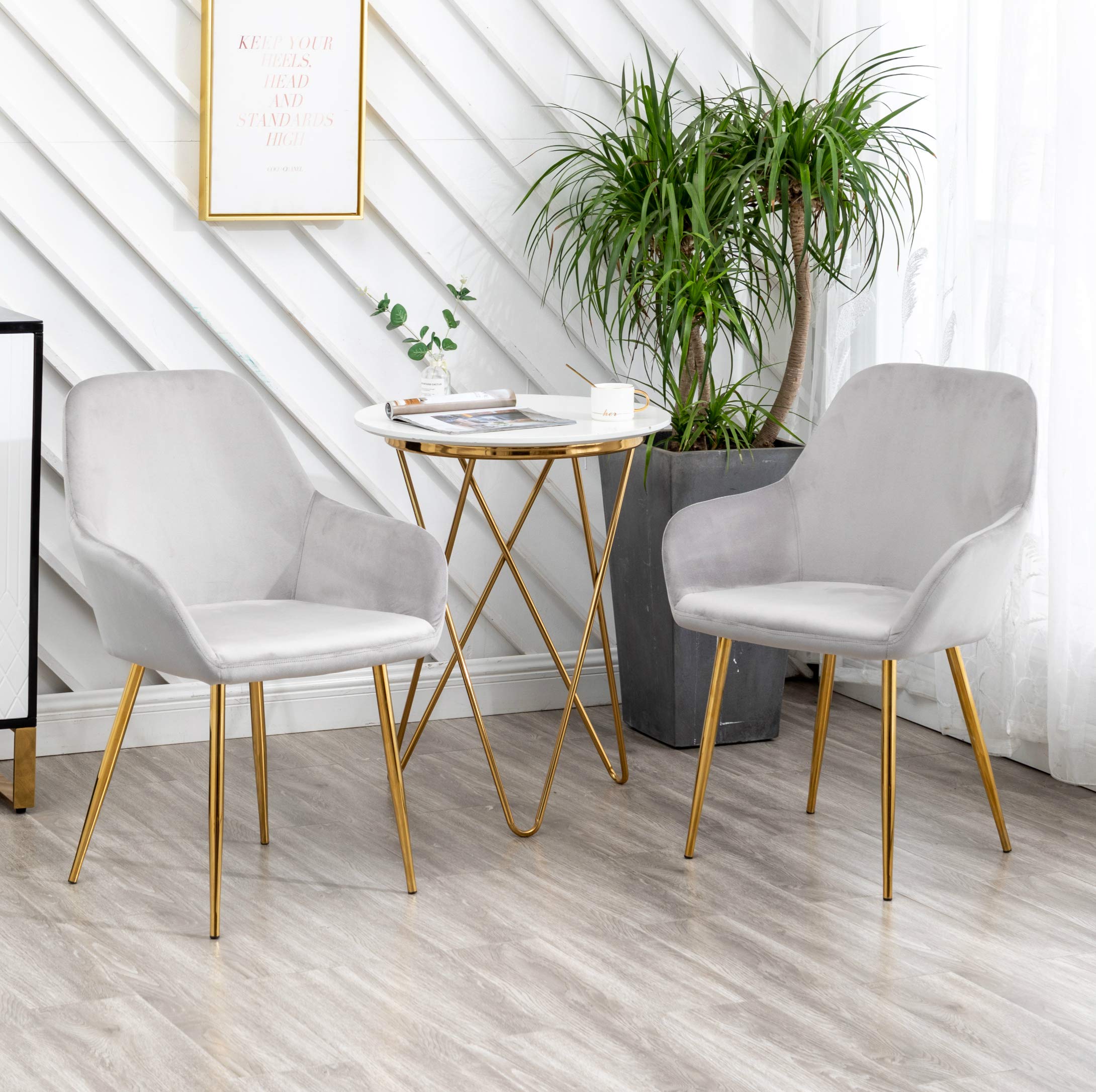 BTEXPERT Modern Golden Leg Dark Mid-Back Accent Chairs - Set of 2 Gray Velvet Upholstered Armchairs with Gold Plated Legs for Living Room, Dining Room & Lounge Areas - Perfect for Home Decor, Relaxation and Entertaining Guests