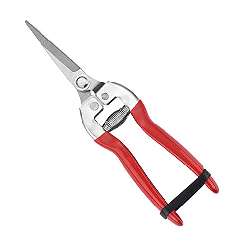 Premium Garden Shears - Professional Pruning Shears for Plants, Flowers & Grape Picking | Heavy Duty Gardening Shears with Comfort Grip | Perfect for Home Garden, Landscaping & Vineyard Use