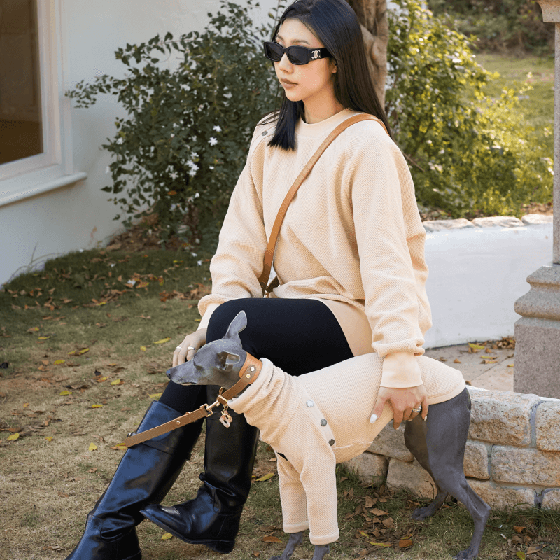 Cozy Hampton Human Sweater - Soft & Warm Knit Pullover for Men & Women | Perfect for Fall, Winter & Casual Outings