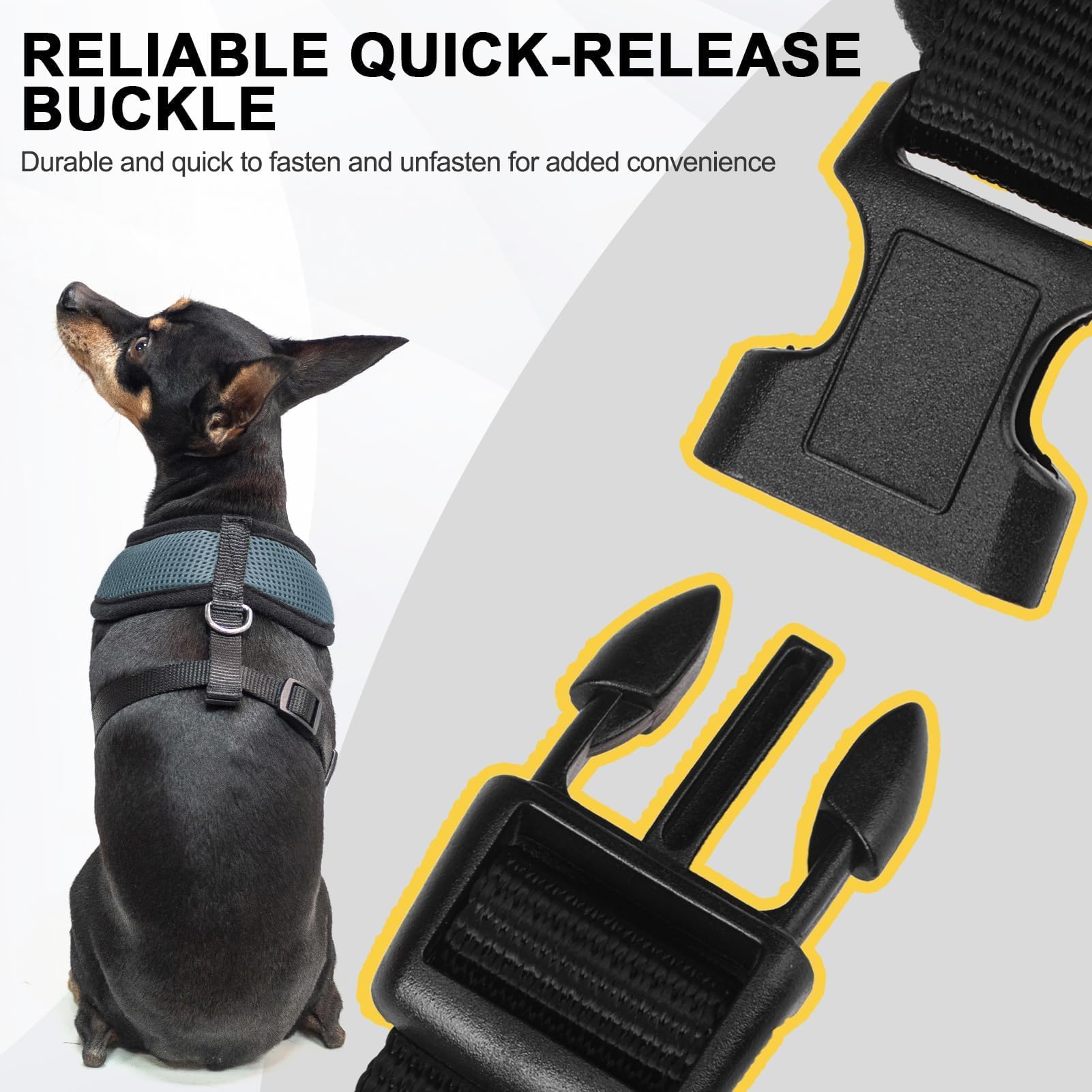 BINGPET Small Dog Harness - Breathable Mesh No-Pull Adjustable Vest for Puppies & Medium Dogs | Perfect for Walking, Training & Outdoor Adventures