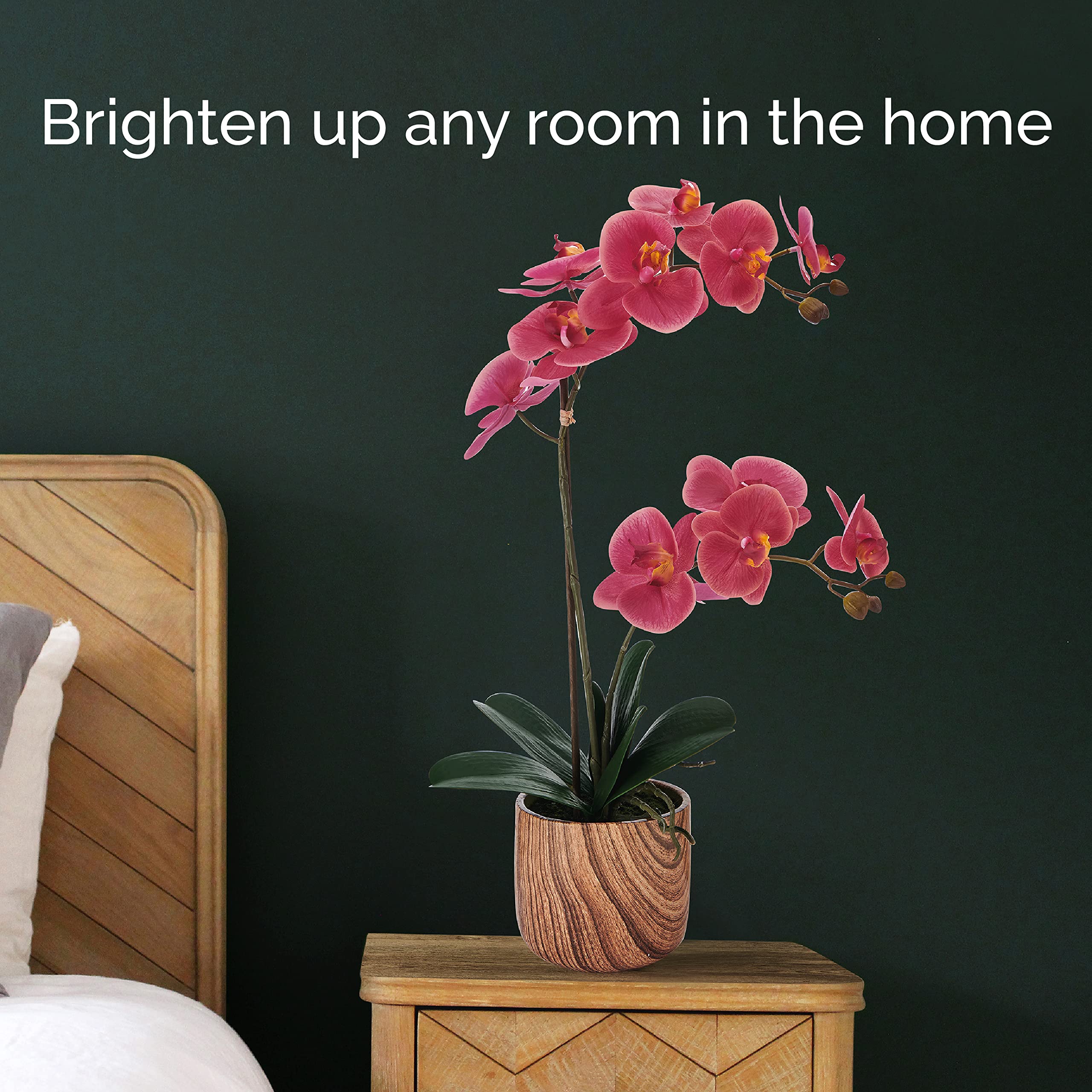 Mikasa Artificial Orchid in Pot - Real Touch Phalaenopsis Silk Flower with Faux Wood Cement Planter, 22-Inch Double Stem Rosewood Home Decor for Living Room, Office, Wedding Centerpiece
