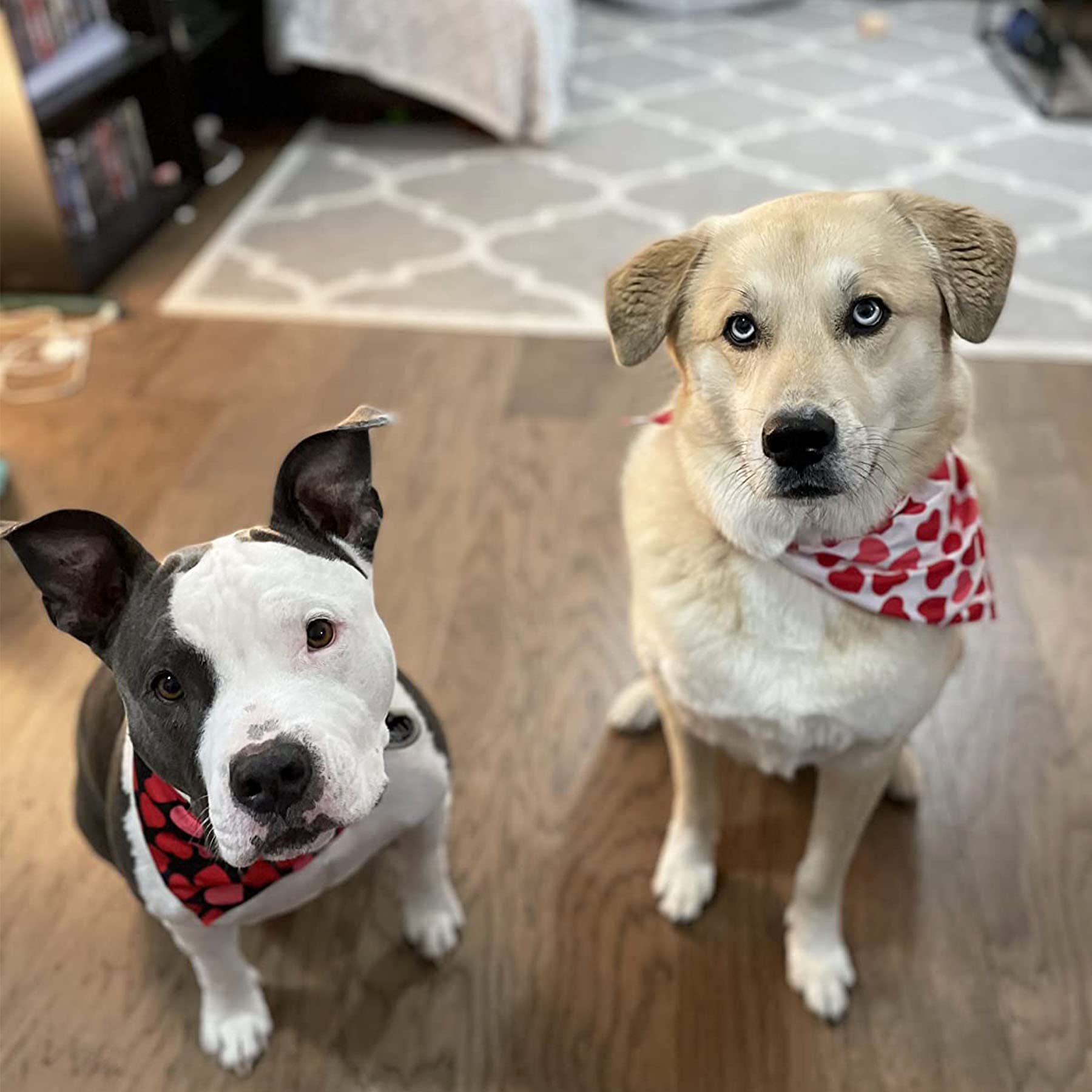 PTDECOR Valentine Dog Bandana - Reversible Triangle Bib Scarf for Medium & Large Dogs - Multi-Size Adjustable Pet Bandana for Valentine's Day, Christmas & Special Occasions - Perfect for Photo Shoots, Parties & Daily Wear
