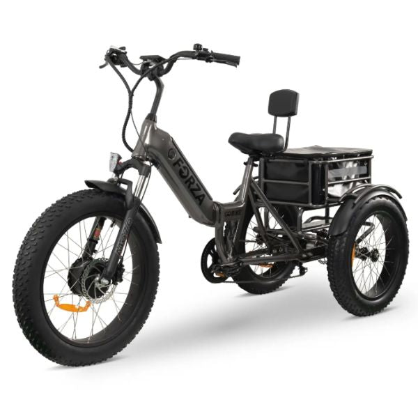 Go Bike FORZA Electric Tricycle for Adults - 500W Motor, 20MPH, 48V 15Ah Battery - Commuter, Leisure & Grocery Shopping E-Bike