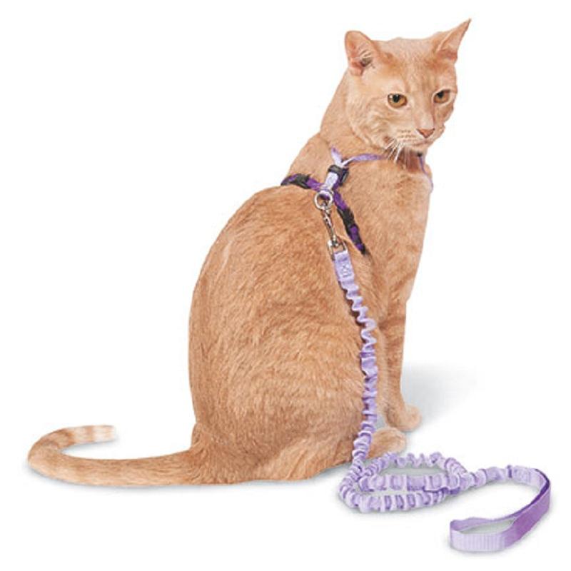 Come With Me Kitty Cat Harness and Bungee Leash Set - Adjustable Pet Safety Vest for Indoor/Outdoor Adventures