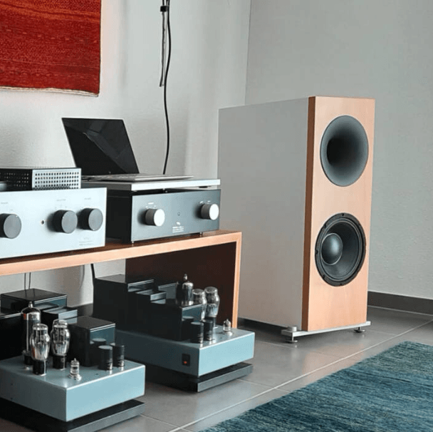 Tobian Sound Systems 10FH Full Range Horn Speakers - High Fidelity Audio for Home Theater, Outdoor Events & Live Performances