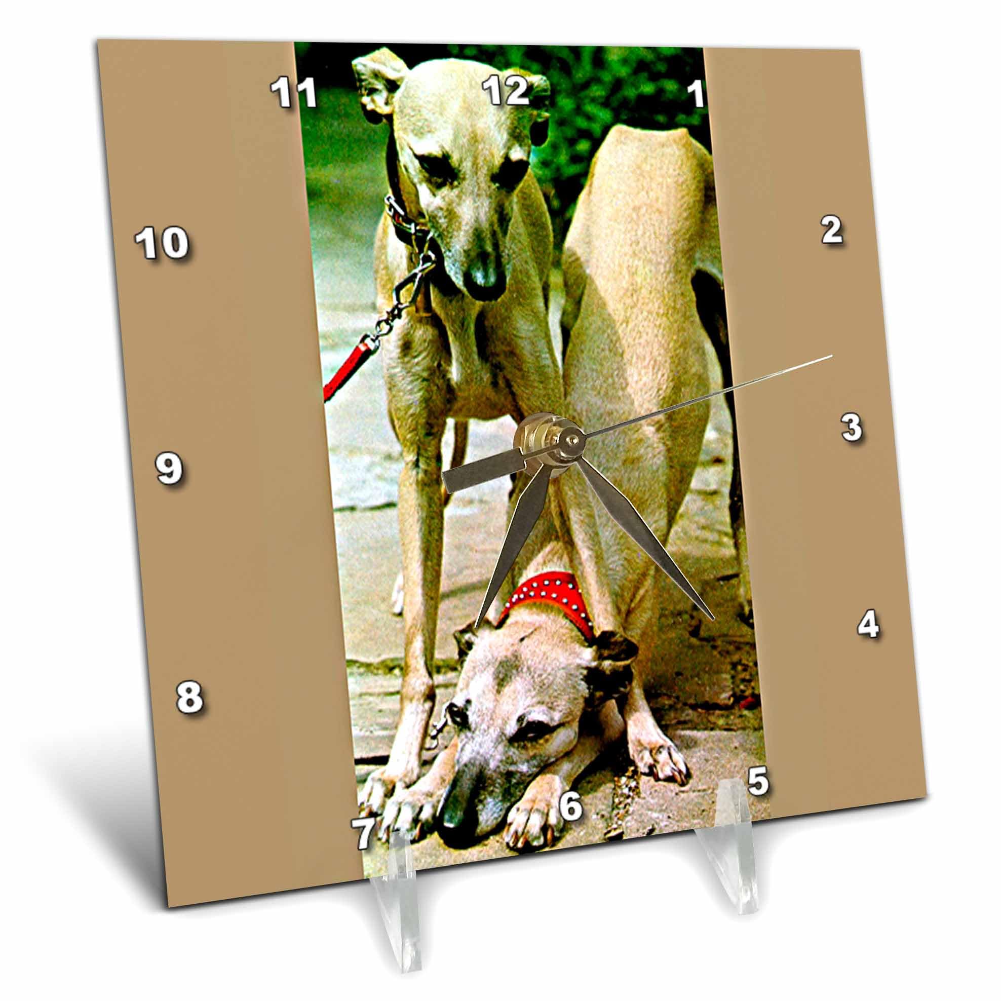 3D Rose Whippet Dog 6x6 Inch Desk Clock - Stylish Pet Lover Gift for Home, Office & Dorm Decor